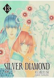 SILVER DIAMOND（13）