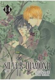 SILVER DIAMOND（14）