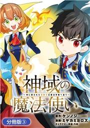 神域の魔法使い〜神に愛された落第生は魔法学院へ通う〜【分冊版】 3巻