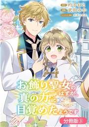 お飾り聖女のはずが、真の力に目覚めたようです THE COMIC【分冊版】 3巻