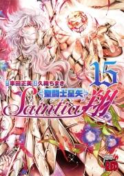 聖闘士星矢セインティア翔　15