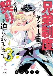 兄弟制度のあるヤンキー学園で、今日も契りを迫られてます【電子単行本】　３