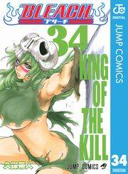 BLEACH モノクロ版 34