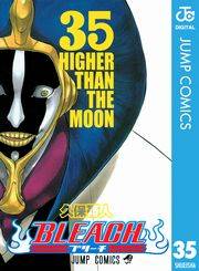 BLEACH モノクロ版 35