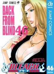 BLEACH モノクロ版 46