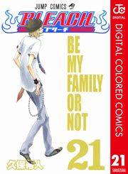 BLEACH カラー版 21