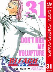 BLEACH カラー版 31
