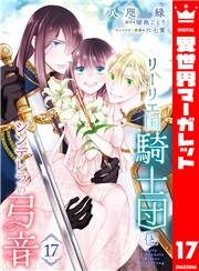 リーリエ国騎士団とシンデレラの弓音 17