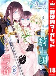 リーリエ国騎士団とシンデレラの弓音 18