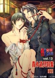 BL恋愛専科13 責め道具