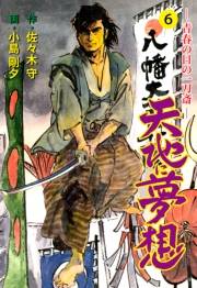 【期間限定価格】天地に夢想　6