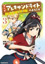 魔石屋アレキサンドライトへようこそ　〜規格外魔石で商売繁盛〜３