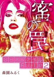 SEXファイル・蜜の罠 File２窃視