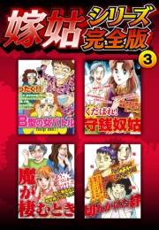 【期間限定価格】嫁姑シリーズ完全版　3