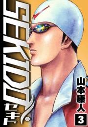 【期間限定価格】SEKIDO 3