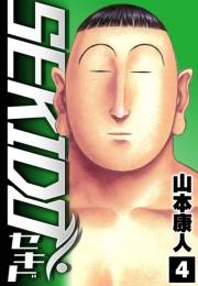【期間限定価格】SEKIDO 4
