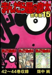 【期間限定価格】まんだら屋の良太 合本版 15