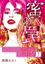 【期間限定価格】SEXファイル・蜜の罠 File１絞扼