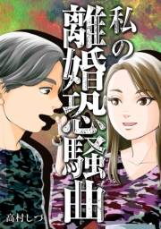 【期間限定価格】私の離婚恐騒曲