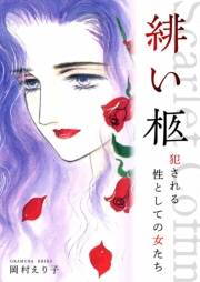 【期間限定価格】緋い柩 ー犯される性としての女たちー