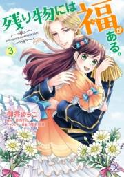 残り物には福がある。3【初回限定ペーパー付】【電子限定特典付】