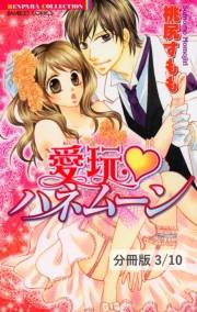 愛玩ハネムーン【分冊版3/10】君となら最高の×××　１