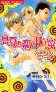 真夏の恋と甘い蜜【分冊版2/14】真夏の恋と甘い蜜　２