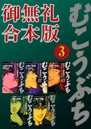 むこうぶち　高レート裏麻雀列伝　【御無礼合本版】（３）