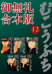 むこうぶち　高レート裏麻雀列伝　【御無礼合本版】（12）