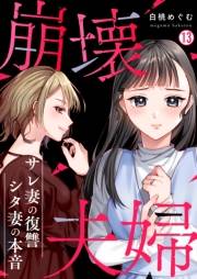 崩壊夫婦〜サレ妻の復讐・シタ妻の本音(13)