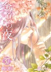 金魚の夜（フルカラー） 第37話 付き合ってみなさいよ