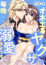 【期間限定価格】オネエ系ヤクザに毎晩溺愛されてます 12