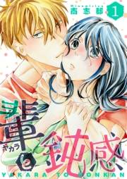 【期間限定価格】輩（ヤカラ）と鈍感【描き下ろしおまけ付き特装版】