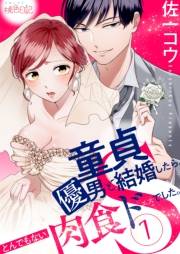 【期間限定価格】童貞優男と結婚したら、とんでもない肉食ドSでした。 1