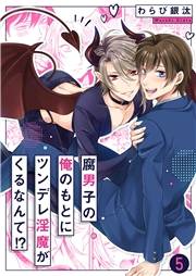 腐男子の俺のもとにツンデレ淫魔がくるなんて!?５