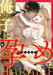 俺の子を孕め〜絶倫魔王様と子づくり極上SEX〜１２