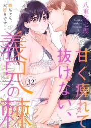 甘く痺れて抜けない、義兄の棘〜駿ちゃん、大好きです…〜32