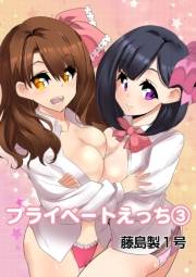 プライベートえっち（3）