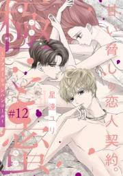 極と蜜〜アフターシャンパンコール〜［1話売り］　story12