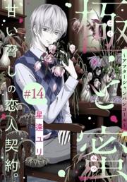 極と蜜〜アフターシャンパンコール〜［1話売り］　story14
