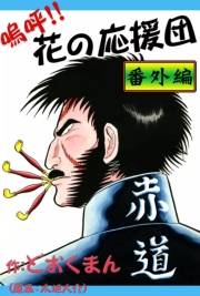 嗚呼!!　花の応援団　番外編
