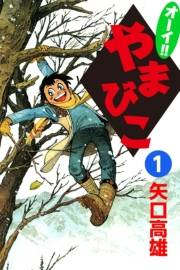 オーイ!! やまびこ　（1）