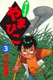 オーイ!! やまびこ　（3）
