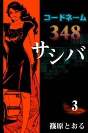 コードネーム348 サシバ　（3）