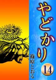 やどかり　（14）　海はるかに
