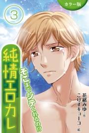 [カラー版]純情エロカレ〜そこまでシテくれるの!? 3巻＜最後のミダラな汁＞