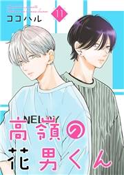 高嶺の花男くん【合冊版】11