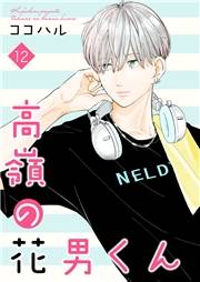 高嶺の花男くん【合冊版】12
