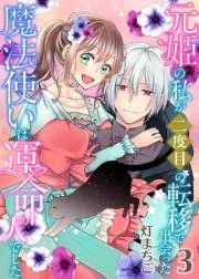 元姫の私が二度目の転移で出会った魔法使いは運命の人でした【単話】 3