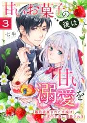 甘いお菓子の後は甘い溺愛を〜婚約破棄された令嬢は辺境伯子息に溺愛される〜（3）